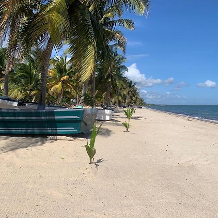 All Seasons Belize Hopkins Zewnętrze zdjęcie