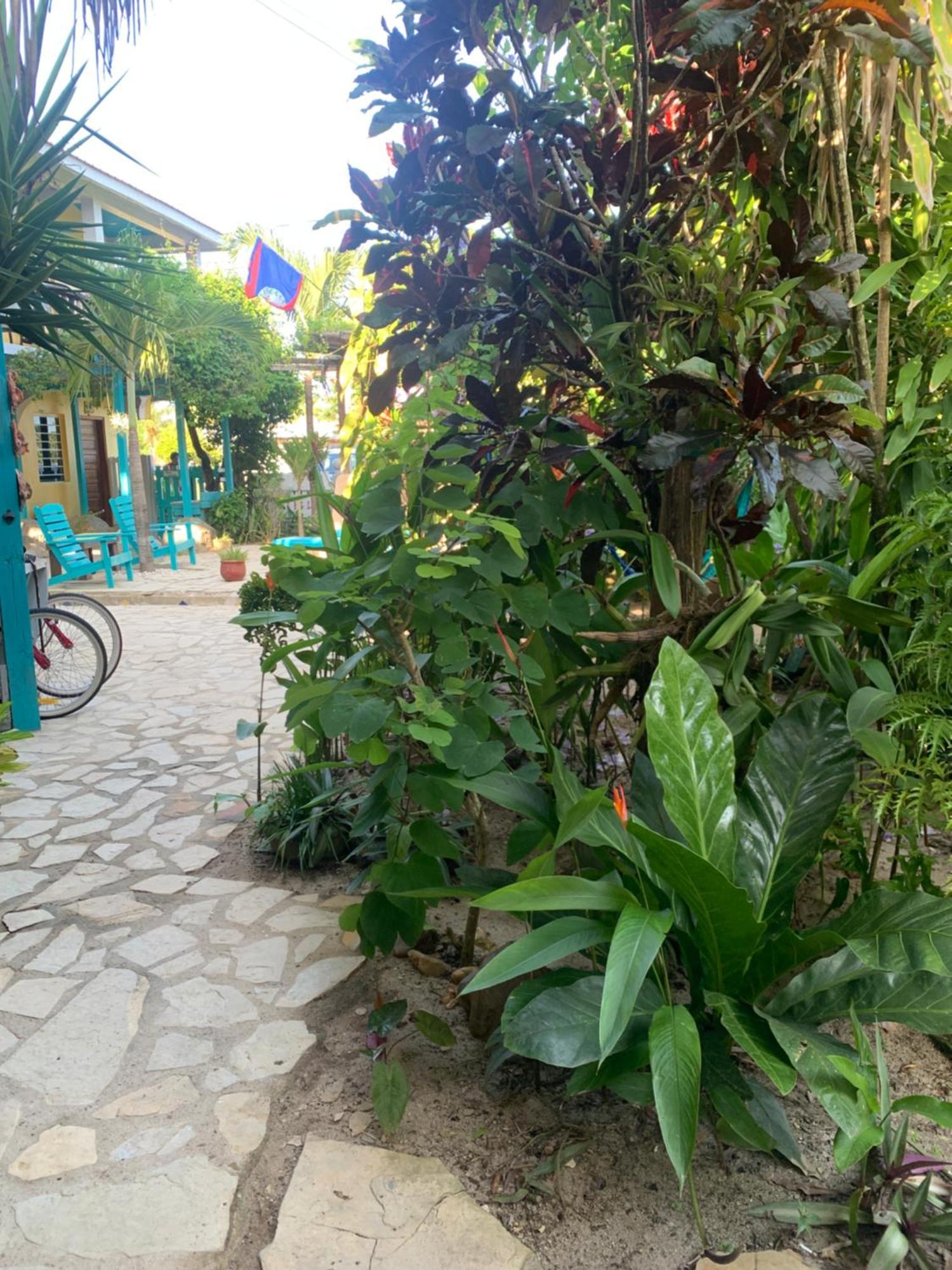 All Seasons Belize Hopkins Zewnętrze zdjęcie